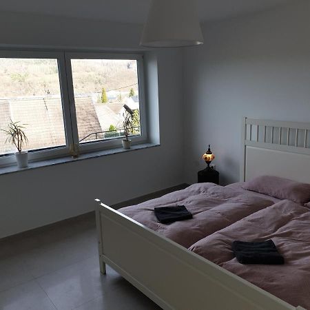 Schoene Wohnung Ueber Wissen Exterior foto